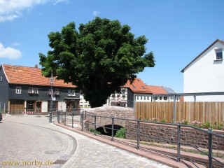 14 Bettenrennen 05-07-09 8494.jpg (99085 Byte)