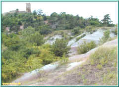 o6250284.jpg (49722 Byte)