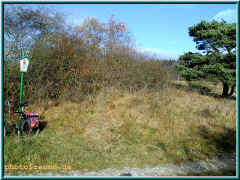 o190029.jpg (123832 Byte)