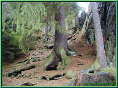 o-050068.jpg (159675 Byte)