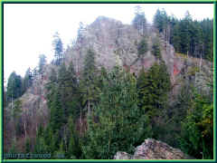 o-050076.jpg (155894 Byte)