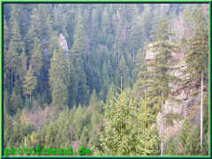 o-050077.jpg (140623 Byte)