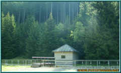 o8060214.jpg (180559 Byte)