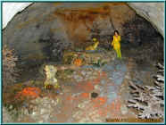 o801163.jpg (96900 Byte)