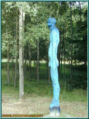 o8090300.jpg (193938 Byte)