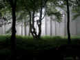 Rennsteig - Inselsberg 13-07-08