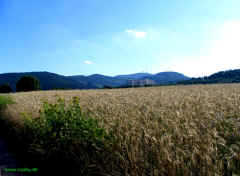 inselsbergklinik_2556.jpg (386310 Byte)