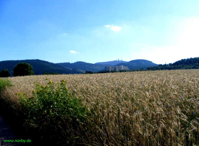 inselsbergklinik_2556.jpg (386310 Byte)